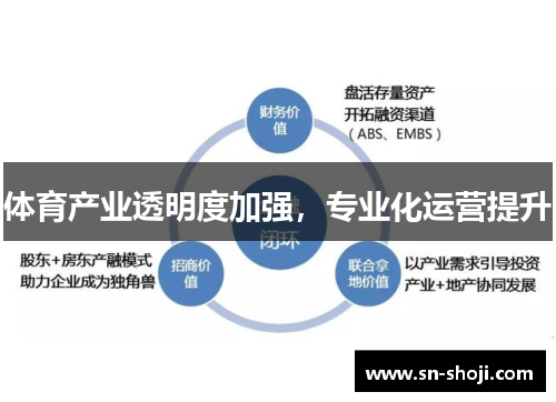 体育产业透明度加强，专业化运营提升